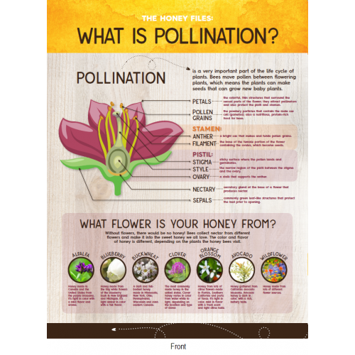 Pollination 101 Activity Sheet