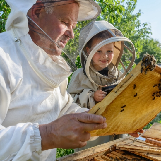 Family Visiting Beekeeper