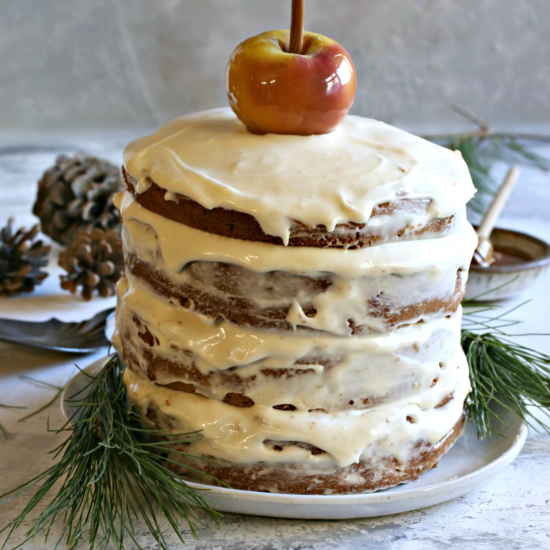 Honey Apple Gingerbread Cake